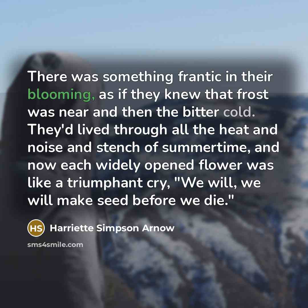 “There was something frantic in their blooming, as if they…” quote by Harriette Simpson Arnow