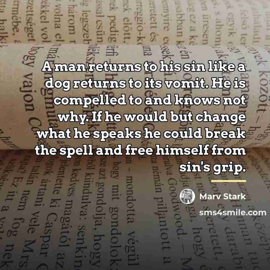 “A man returns to his sin like a dog returns…” quote by Marv Stark