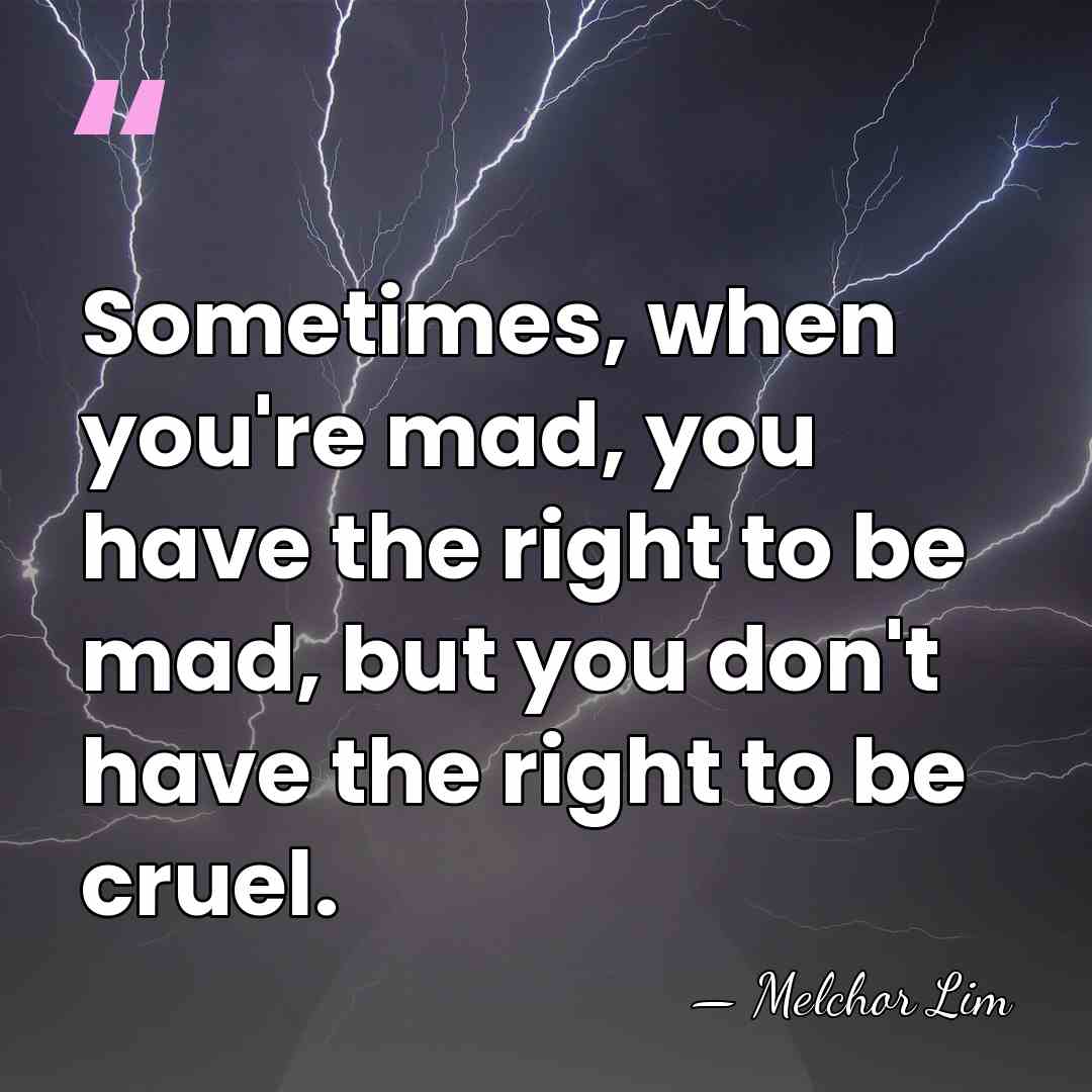 Sometimes, when you're mad, you have the right to be mad, but&hellip; - Melchor Lim