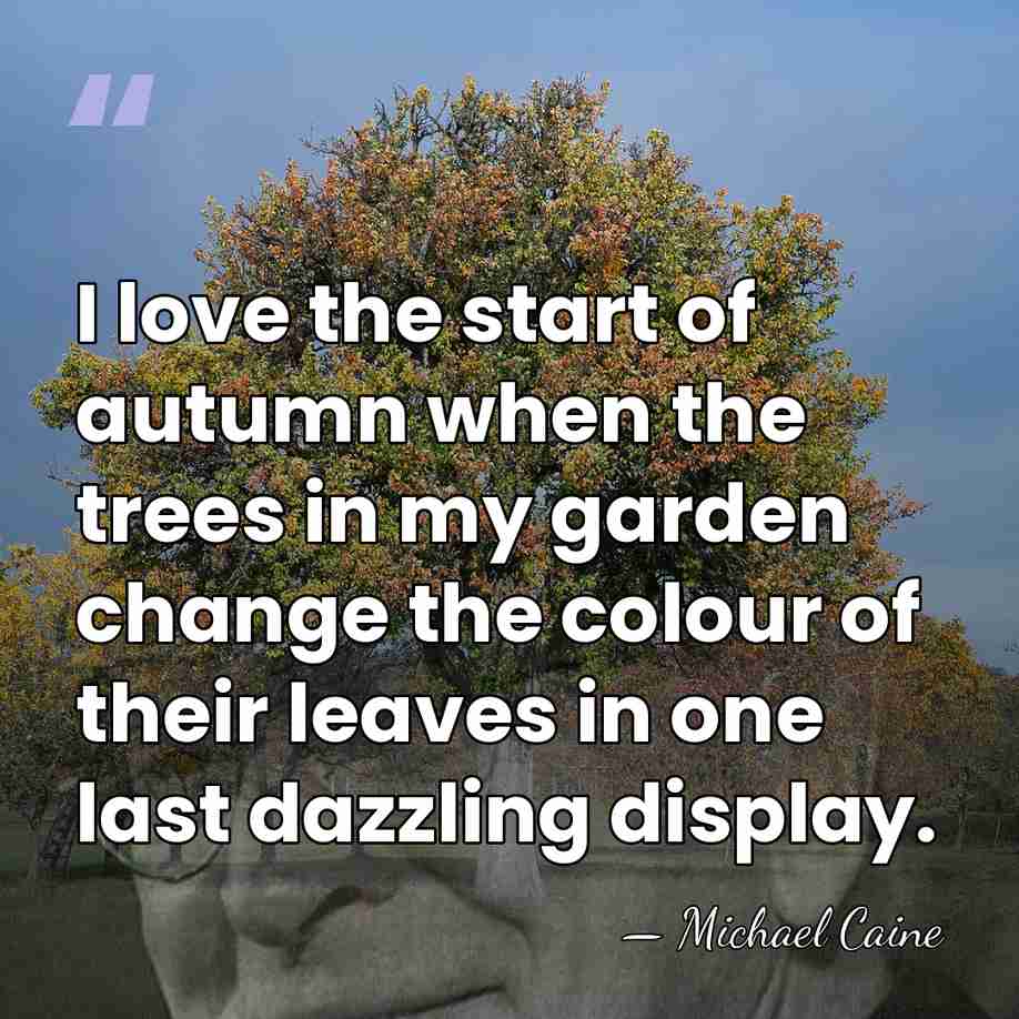 I love the start of autumn when the trees in my garden&hellip; - Michael Caine