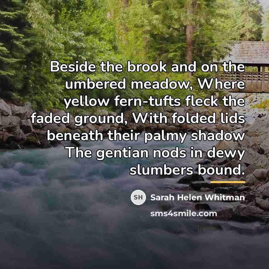 “Beside the brook and on the umbered meadow, Where yellow…” quote by Sarah Helen Whitman
