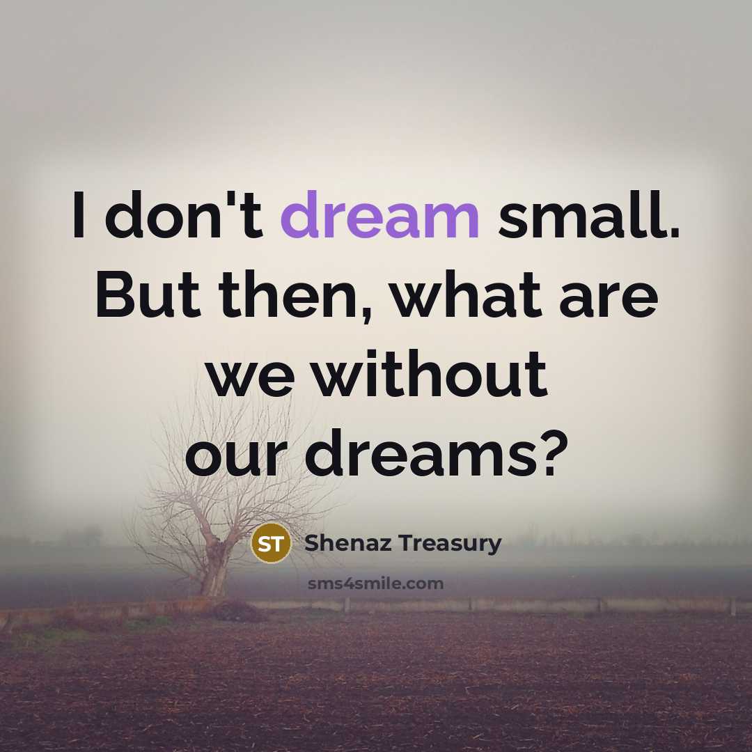 “I don't dream small. But then, what are we without…” quote by Shenaz Treasury