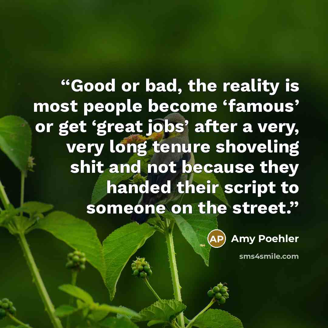 “Good or bad, the reality is most people become ‘famous’ or get ‘great jobs’ after a very, very long tenure shoveling shit and not because they handed their script to someone on the street.” quote by Amy Poehler