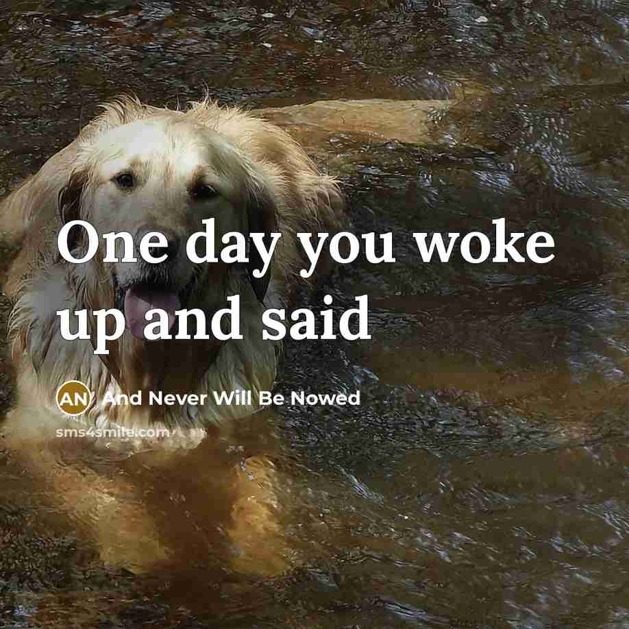 “One day you woke up and said” quote by And Never Will Be Nowed