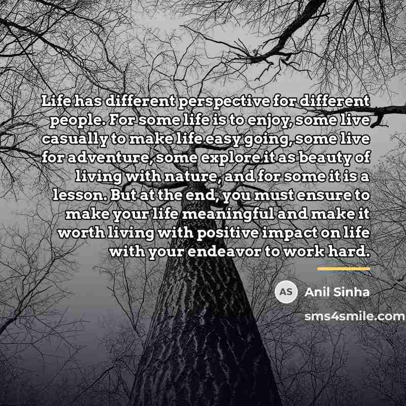 “Life has different perspective for different people. For some life…” quote by Anil Sinha
