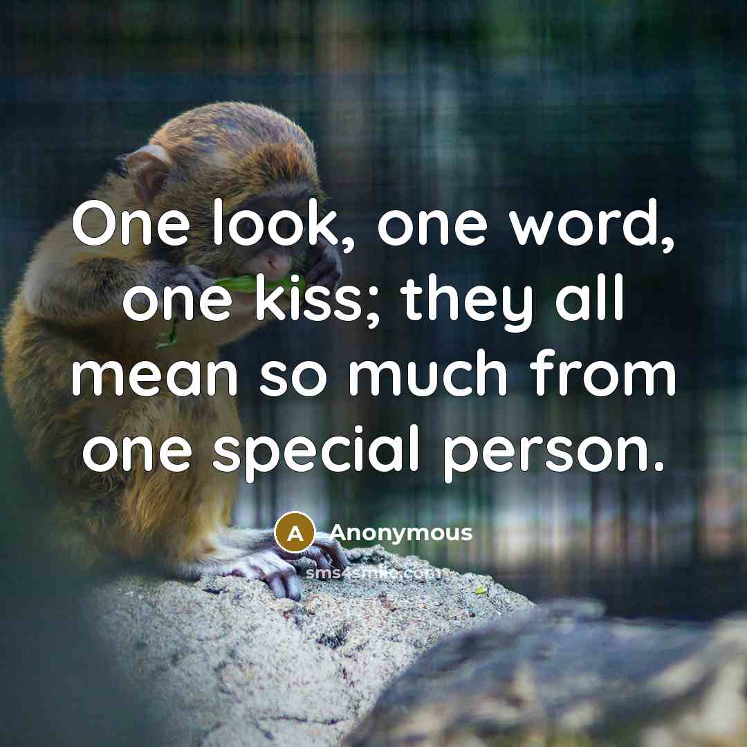 “One look, one word, one kiss; they all mean so…” quote by Anonymous