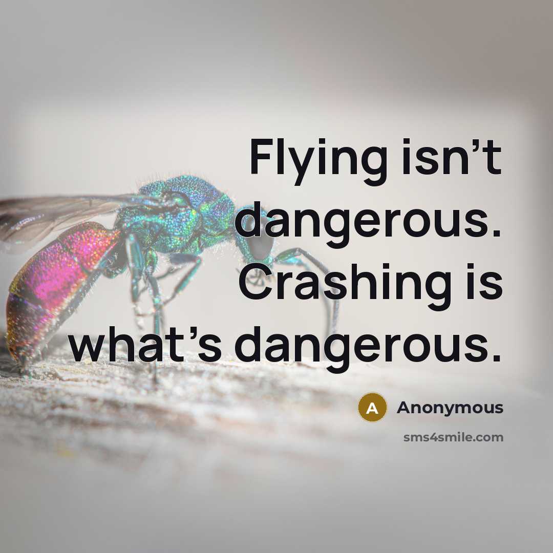 “Flying isn't dangerous. Crashing is what's dangerous.…” quote by Anonymous