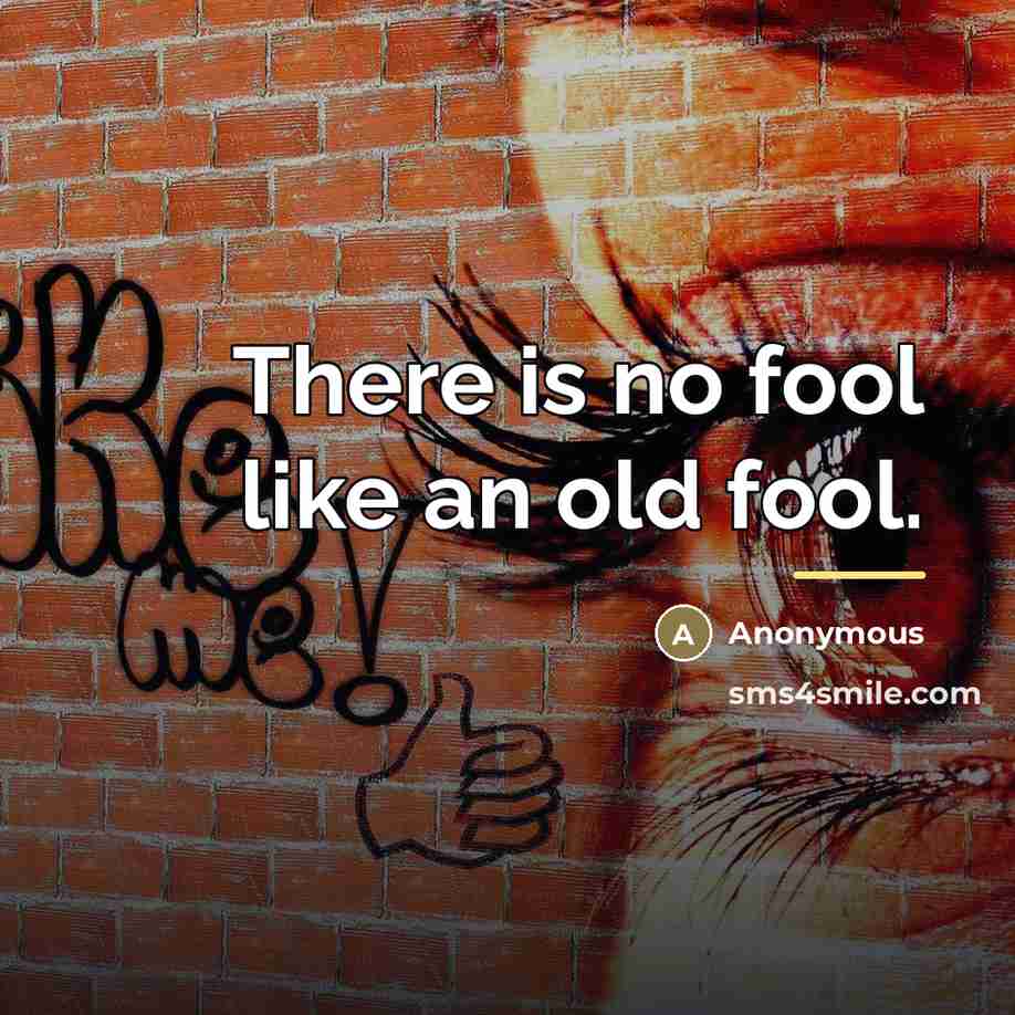 “There is no fool like an old fool.…” quote by Anonymous