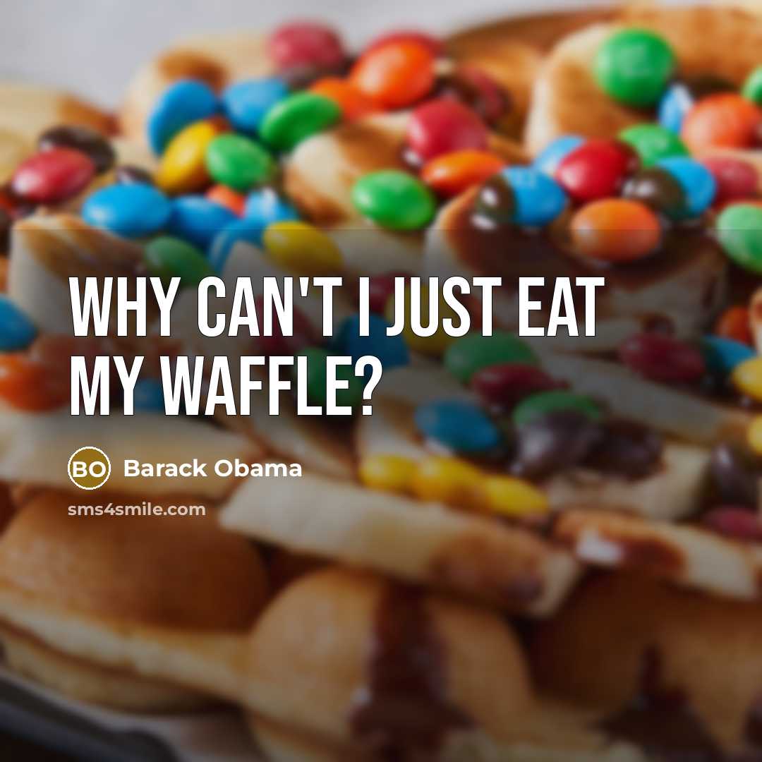 “Why can't I just eat my waffle?…” quote by Barack Obama