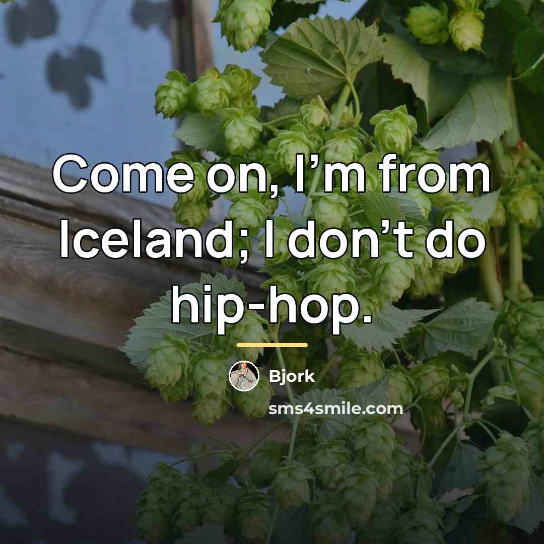 “Come on, I'm from Iceland; I don't do hip-hop.…” quote by Bjork