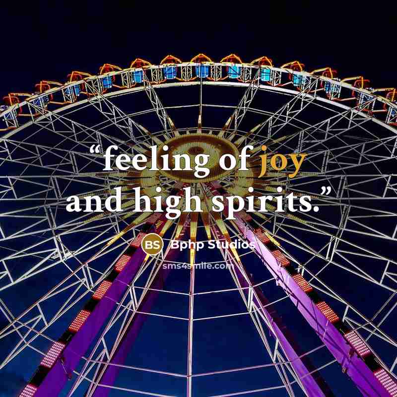 “feeling of joy and high spirits.” quote by Bphp Studios