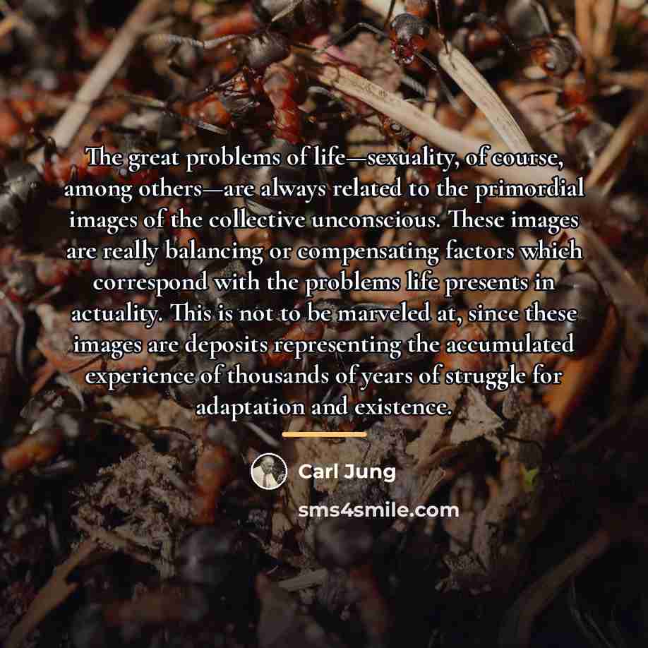 “The great problems of life—sexuality, of course, among others—are always…” quote by Carl Jung