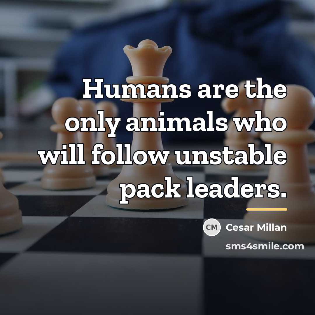 “Humans are the only animals who will follow unstable pack…” quote by Cesar Millan