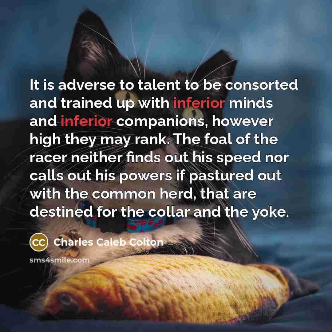 “It is adverse to talent to be consorted and trained…” quote by Charles Caleb Colton