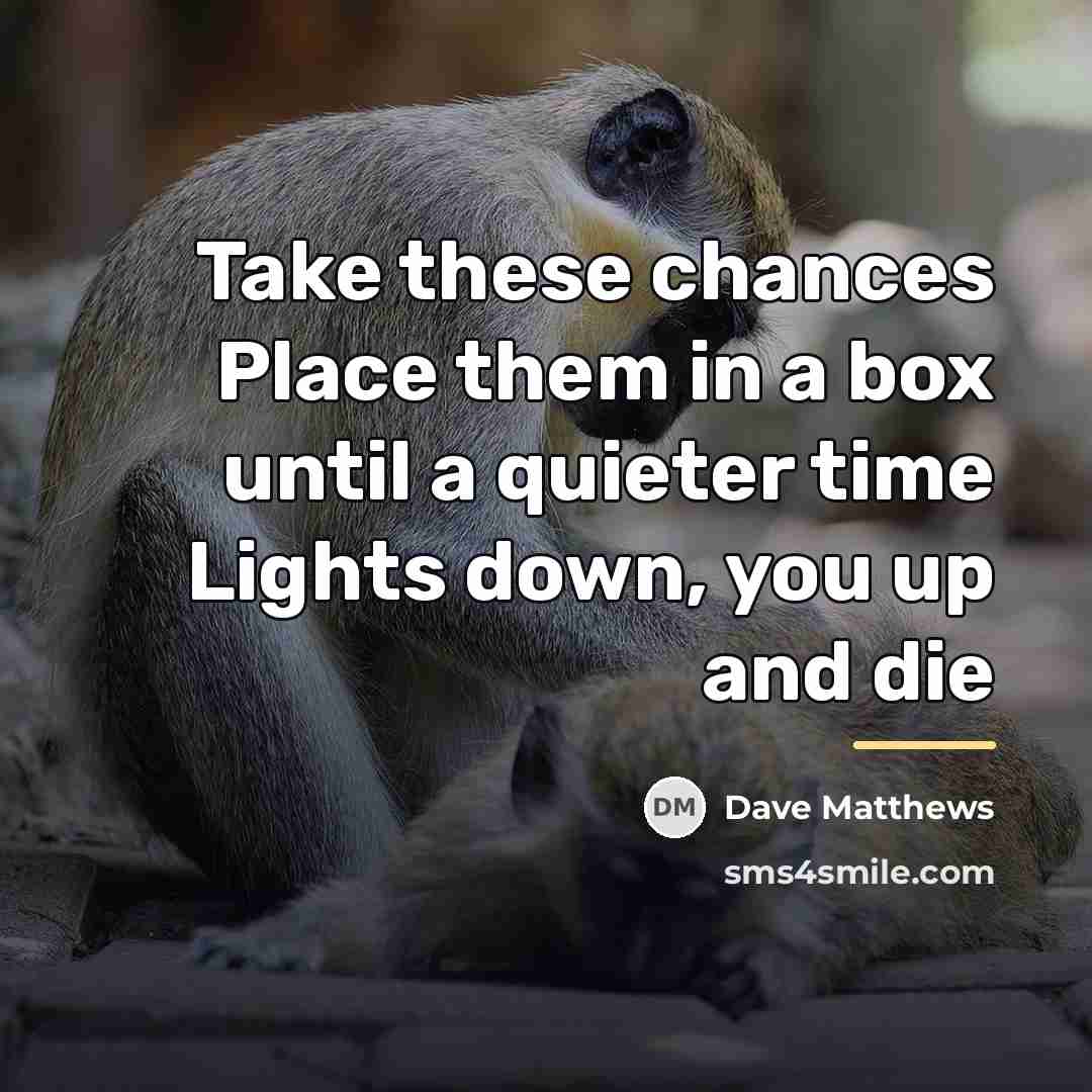 “Take these chances Place them in a box until a…” quote by Dave Matthews