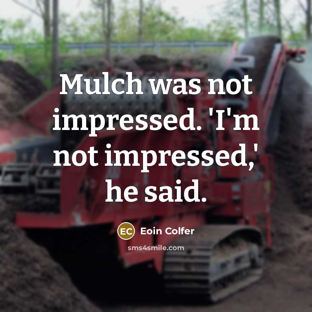 “Mulch was not impressed. 'I'm not impressed,' he said.” quote by Eoin Colfer