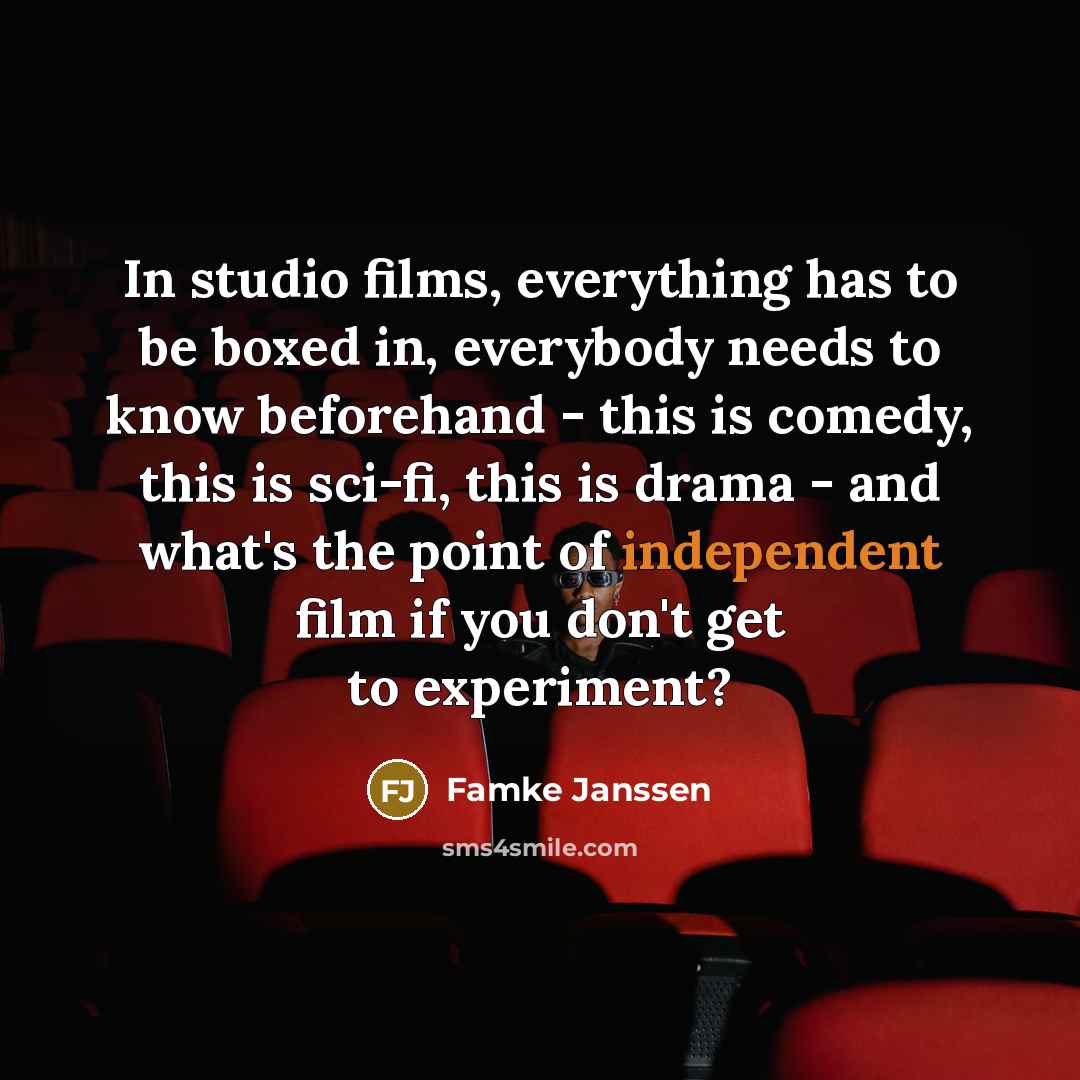“In studio films, everything has to be boxed in, everybody…” quote by Famke Janssen