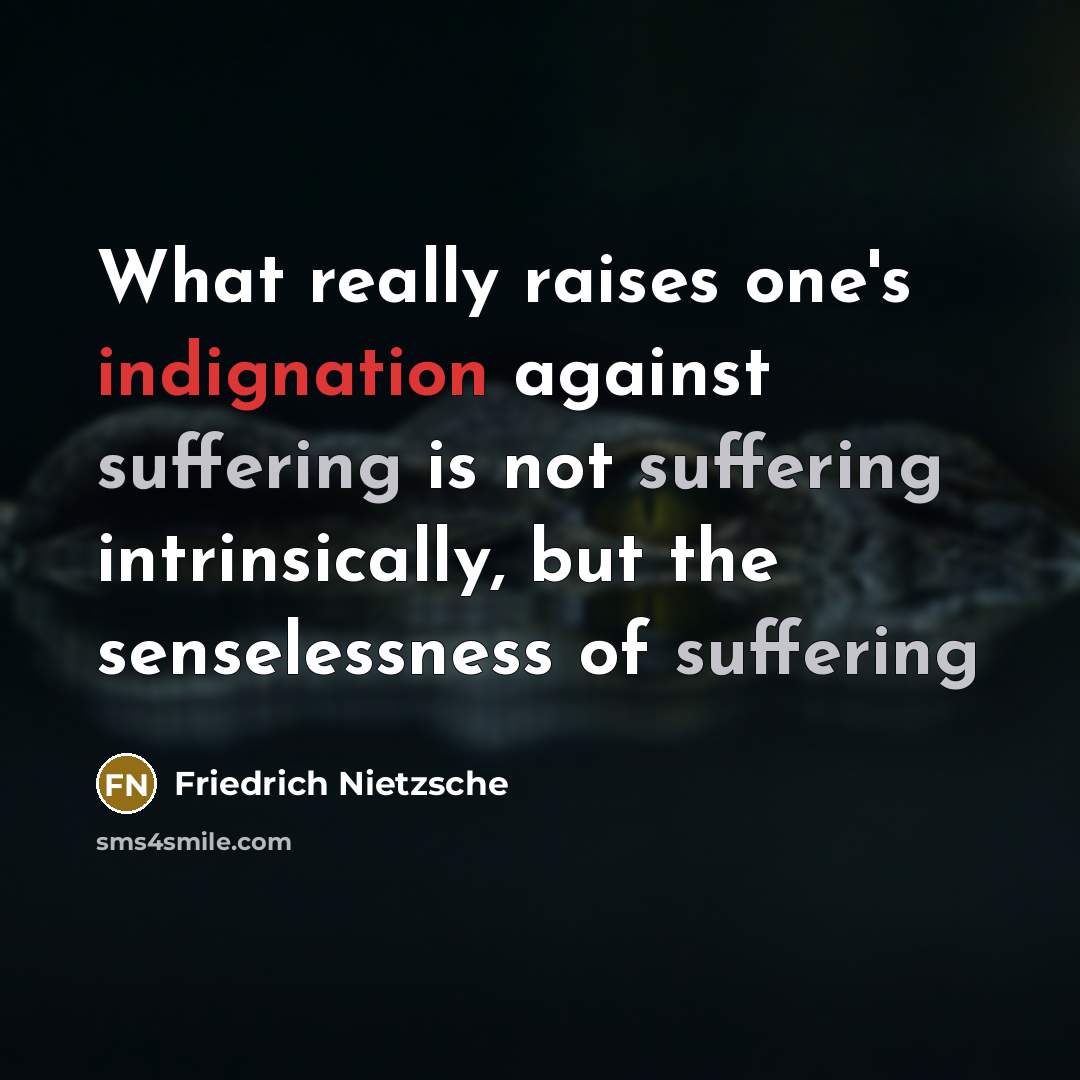 “What really raises one's indignation against suffering is not suffering…” quote by Friedrich Nietzsche