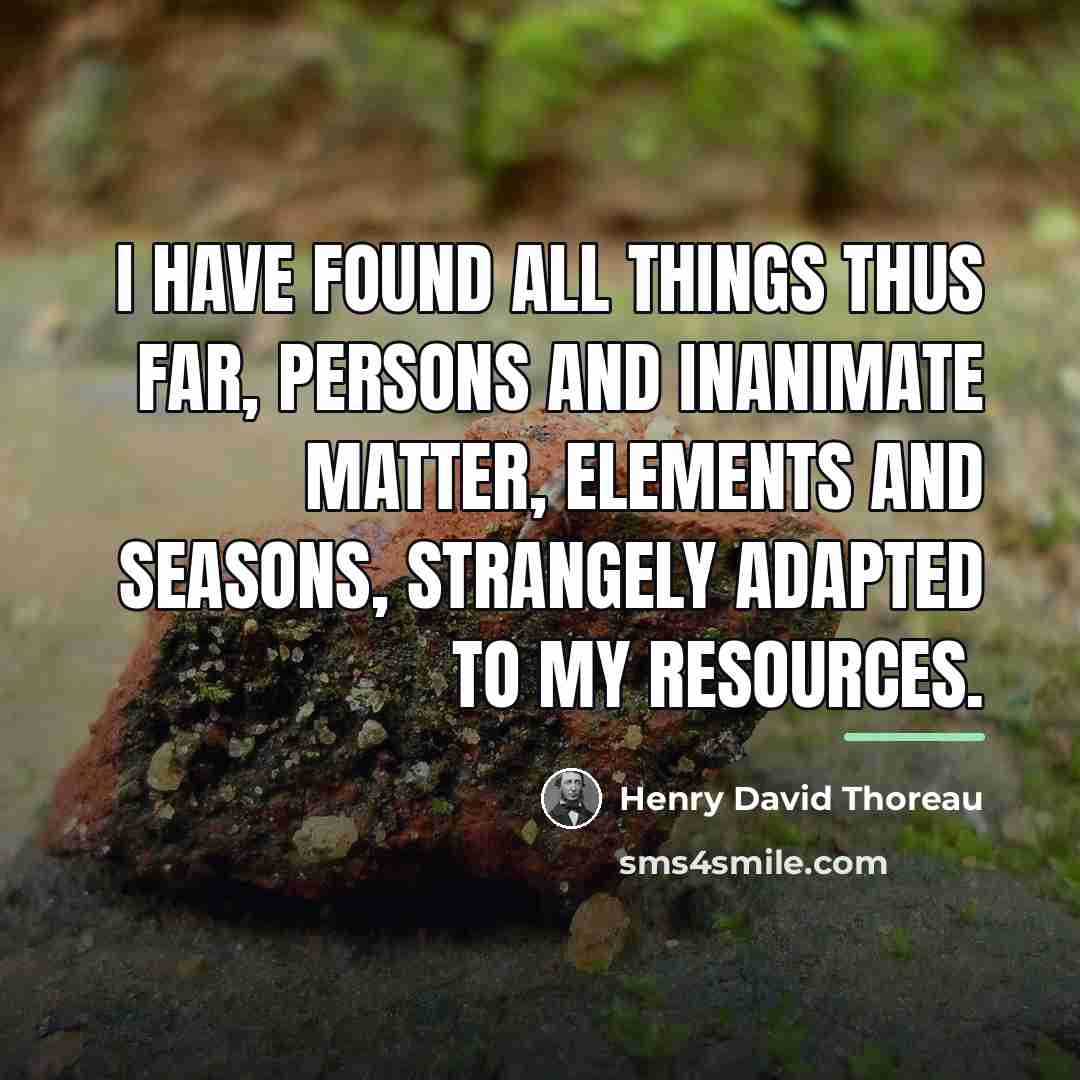 “I have found all things thus far, persons and inanimate…” quote by Henry David Thoreau