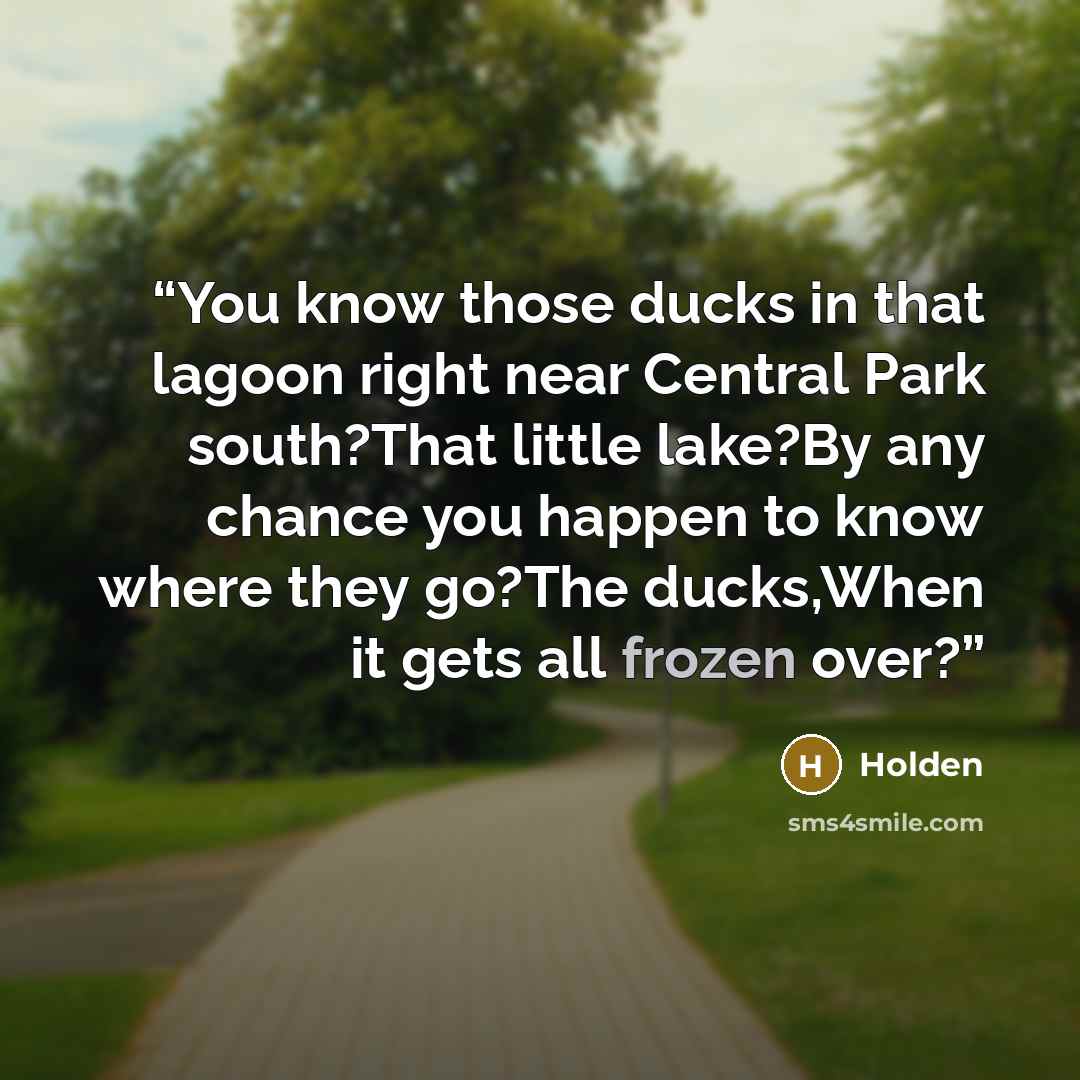 “You know those ducks in that lagoon right near Central Park south?That little lake?By any chance you happen to know where they go?The ducks,When it gets all frozen over?” quote by Holden