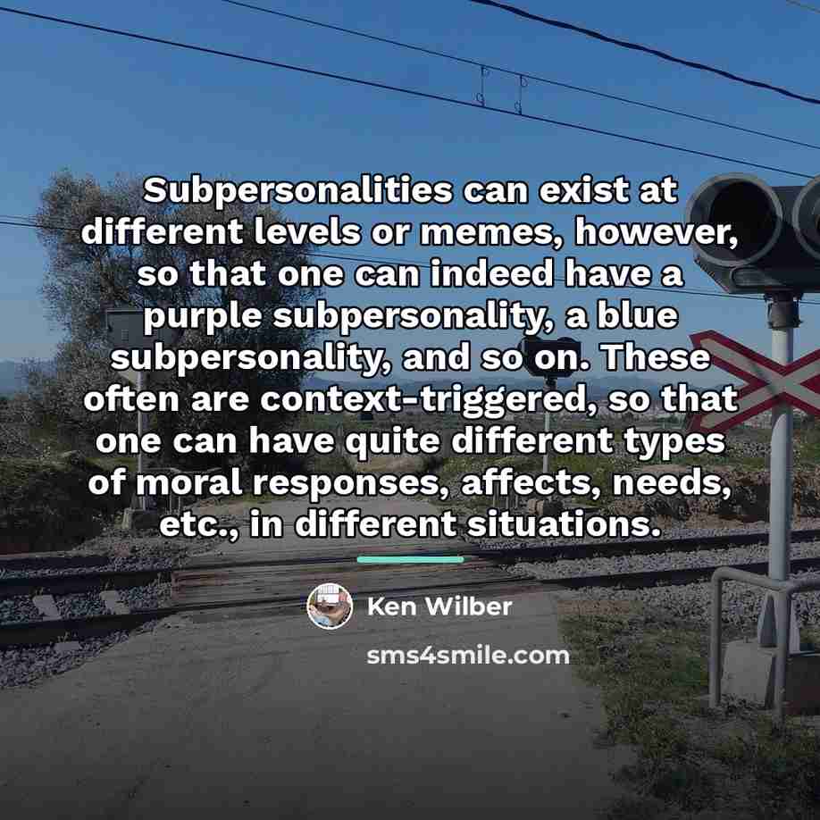 “Subpersonalities can exist at different levels or memes, however, so…” quote by Ken Wilber