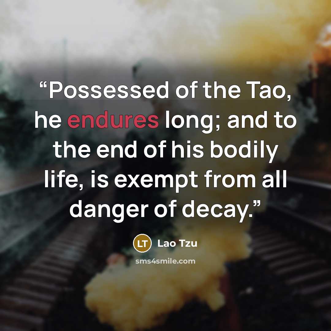 “Possessed of the Tao, he endures long; and to the end of his bodily life, is exempt from all danger of decay.” quote by Lao Tzu