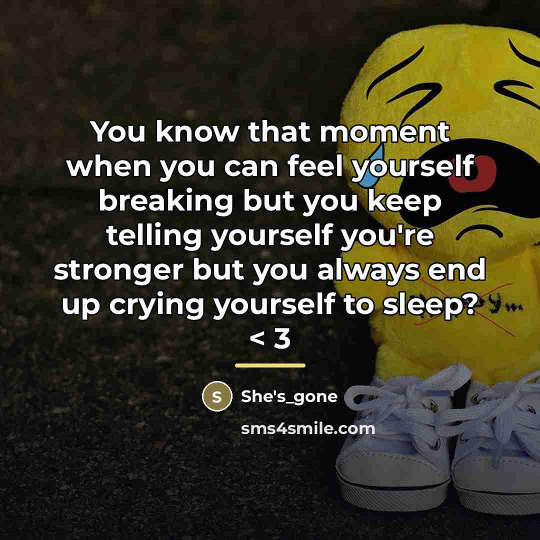 “You know that moment when you can feel yourself breaking…” quote by She's_gone