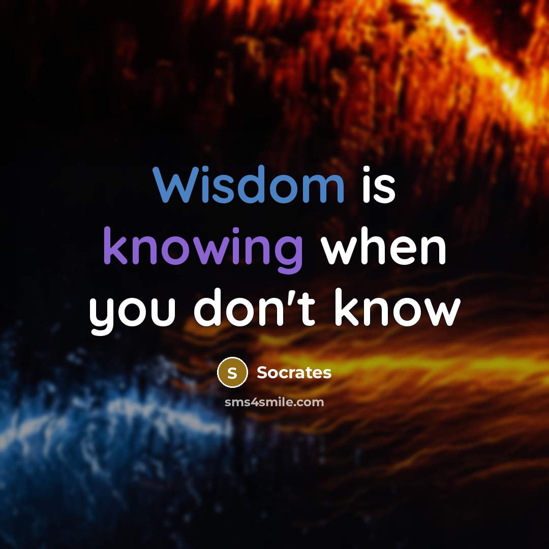 “Wisdom is knowing when you don't know” quote by Socrates