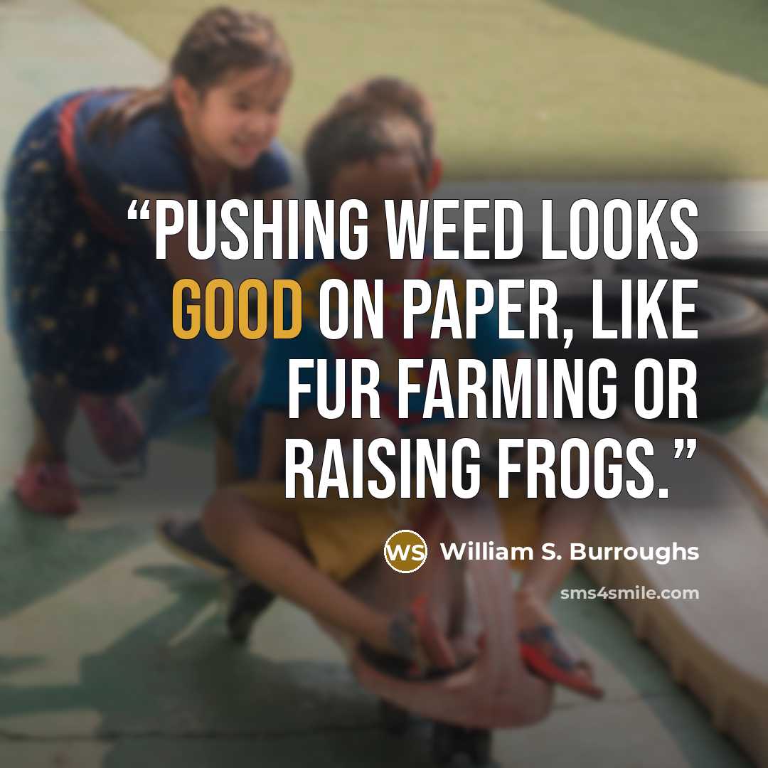 “Pushing weed looks good on paper, like fur farming or raising frogs.” quote by William S. Burroughs
