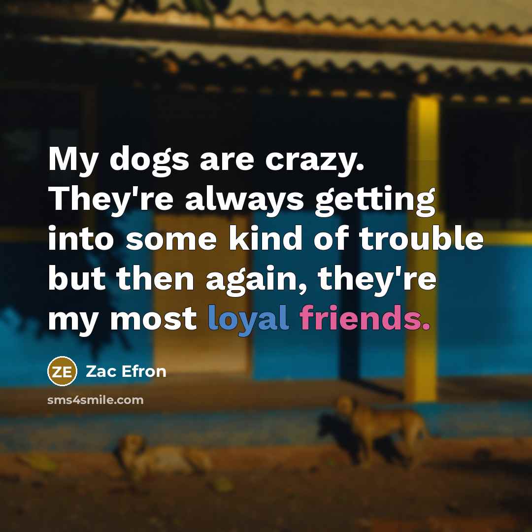 “My dogs are crazy. They're always getting into some kind of trouble but then again, they're my most loyal friends.” quote by Zac Efron