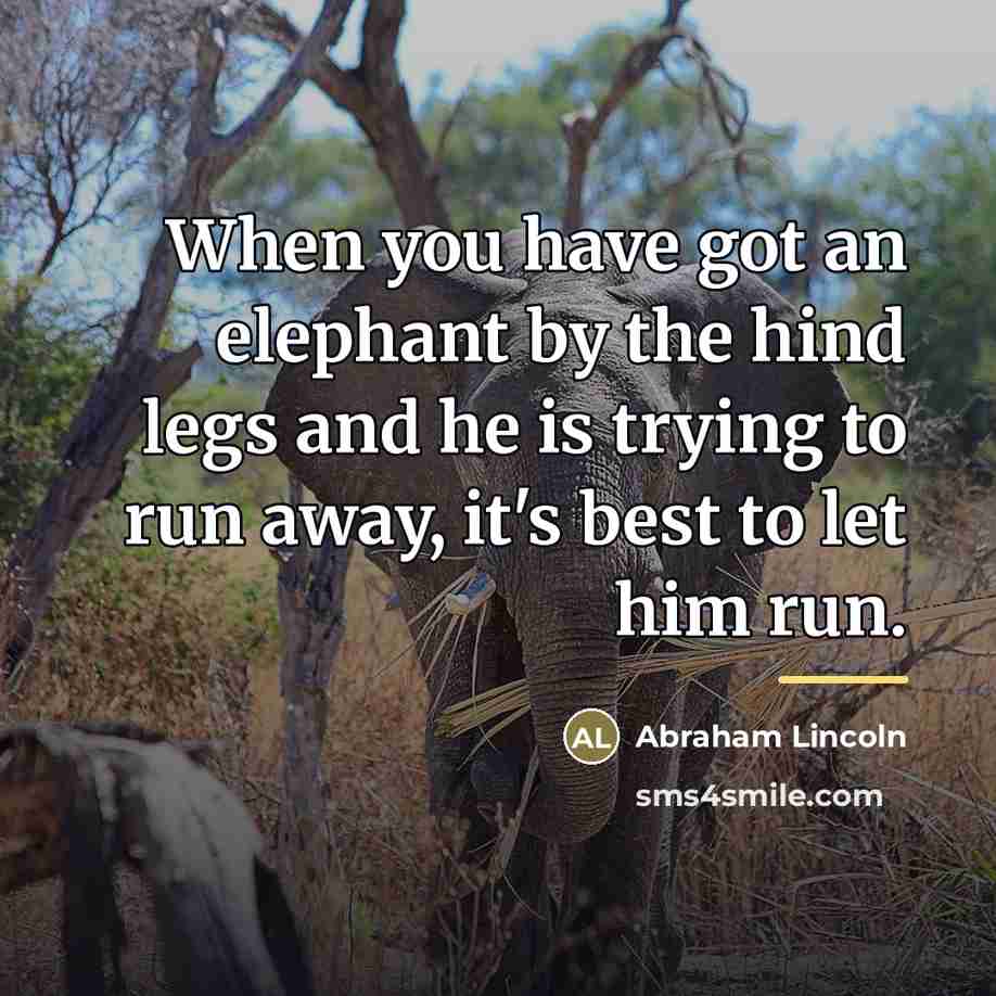 “When you have got an elephant by the hind legs…” quote by Abraham Lincoln