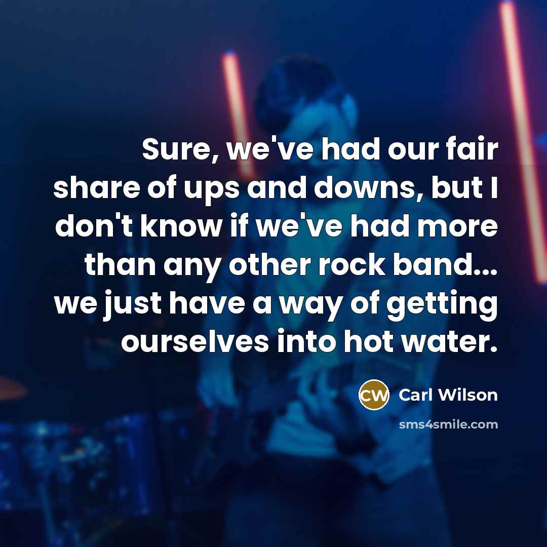 “Sure, we've had our fair share of ups and downs,…” quote by Carl Wilson