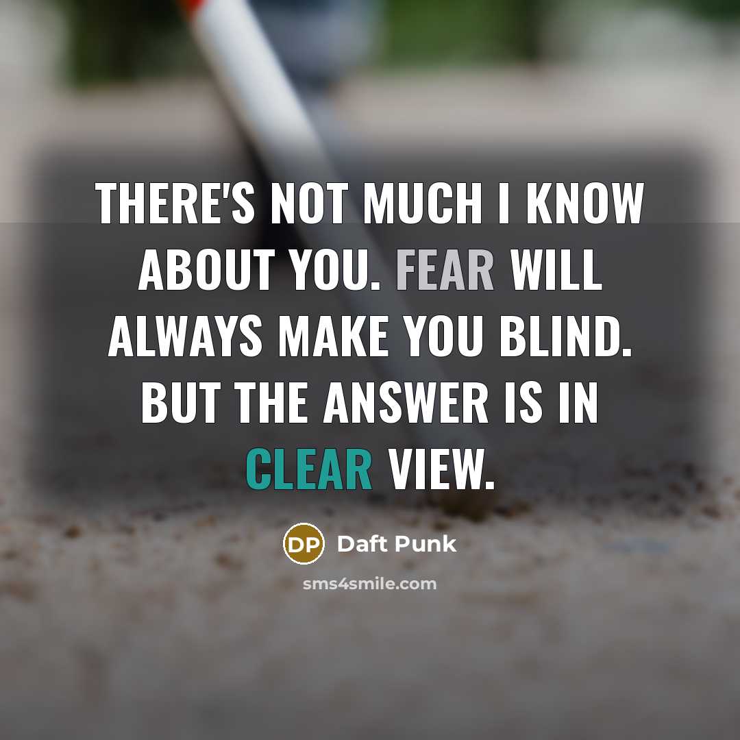 “There's not much I know about you. Fear will always make you blind. But the answer is in clear view.” quote by Daft Punk