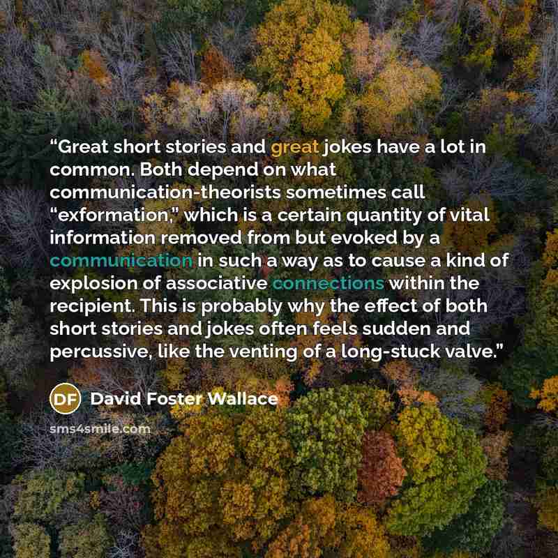“Great short stories and great jokes have a lot in common. Both depend on what communication-theorists sometimes call “exformation,” which is a certain quantity of vital information removed from but evoked by a communication in such a way as to cause a kind of explosion of associative connections…” quote by David Foster Wallace