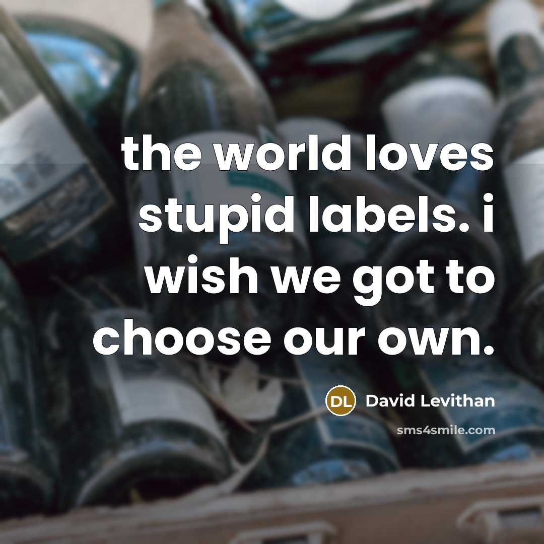 “the world loves stupid labels. i wish we got to…” quote by David Levithan