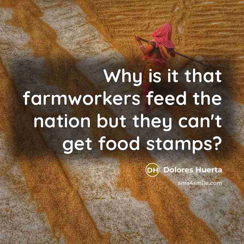 “Why is it that farmworkers feed the nation but they…” quote by Dolores Huerta