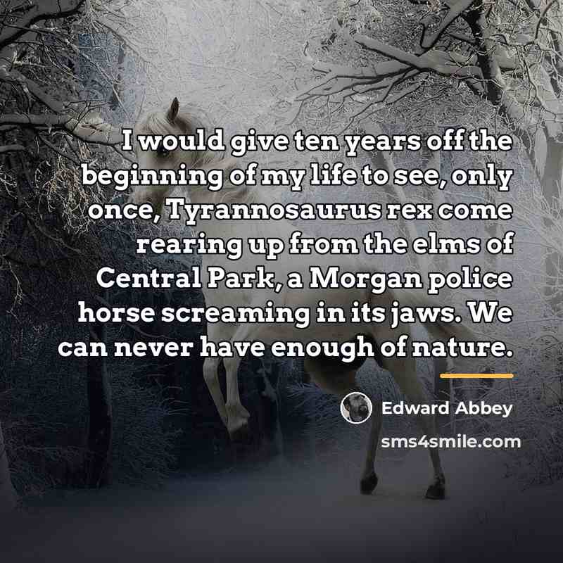 “I would give ten years off the beginning of my…” quote by Edward Abbey