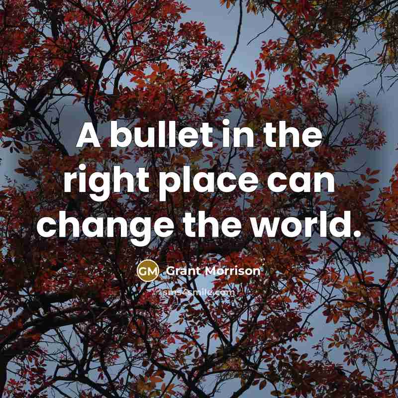 “A bullet in the right place can change the world.” quote by Grant Morrison