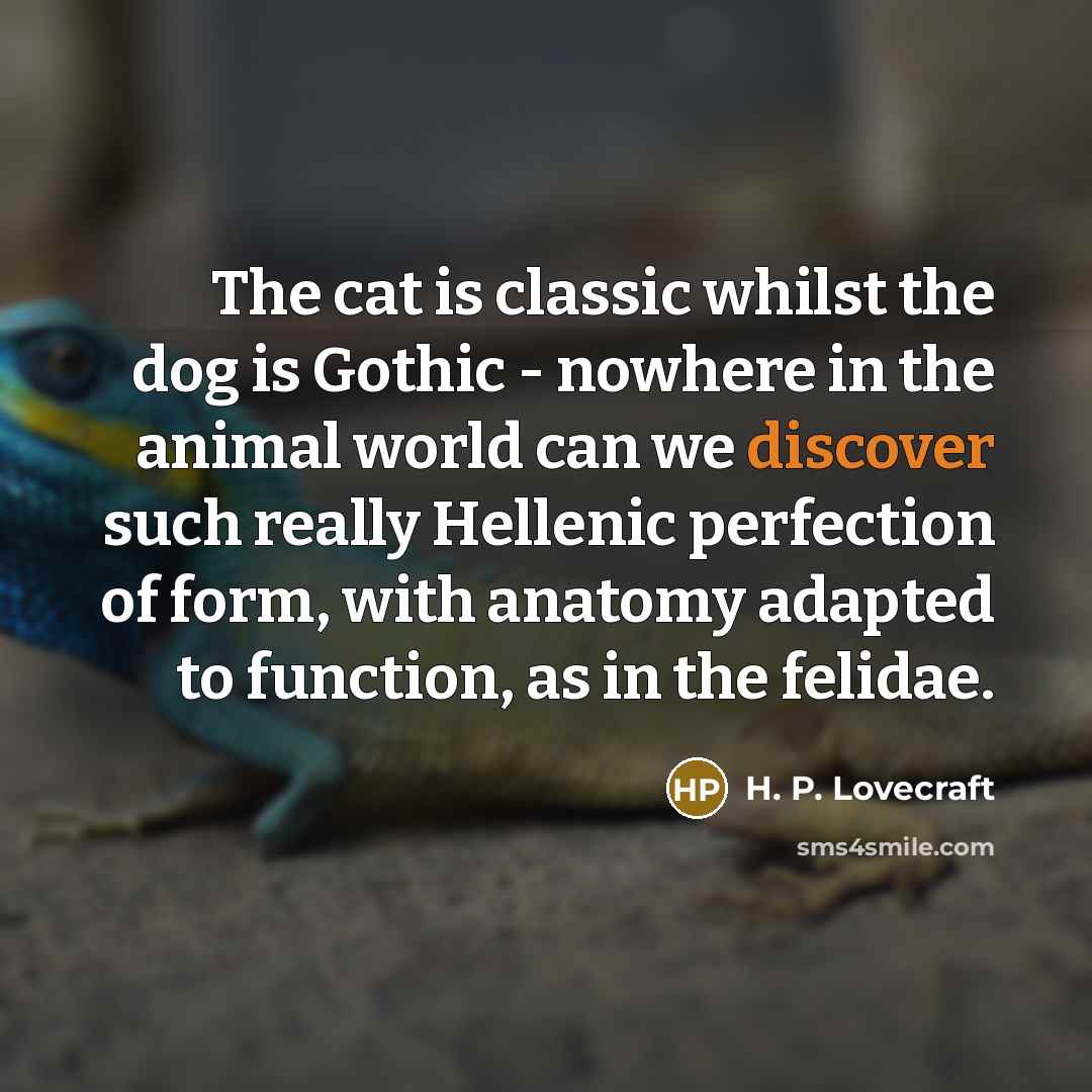 “The cat is classic whilst the dog is Gothic -…” quote by H. P. Lovecraft