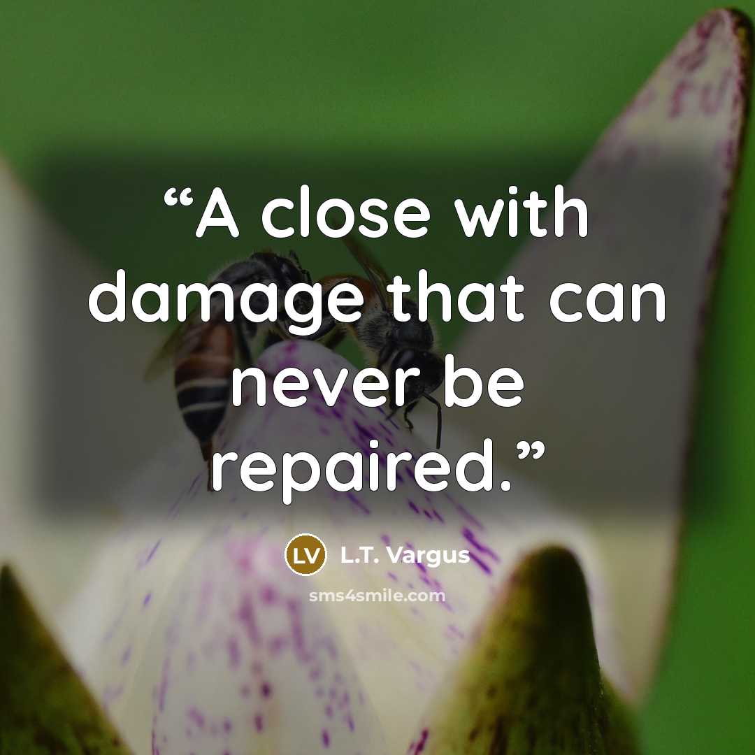 “A close with damage that can never be repaired.” quote by L.T. Vargus