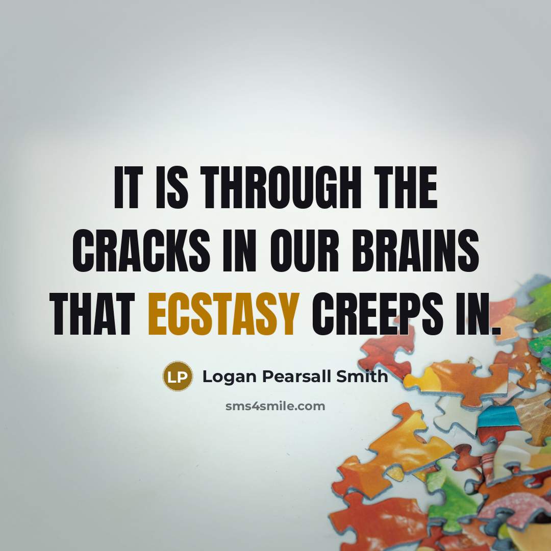 “It is through the cracks in our brains that ecstasy…” quote by Logan Pearsall Smith
