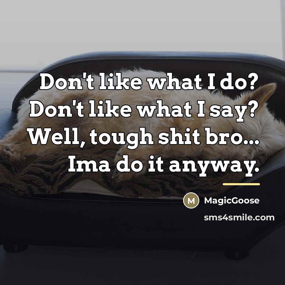 “Don't like what I do? Don't like what I say?…” quote by MagicGoose