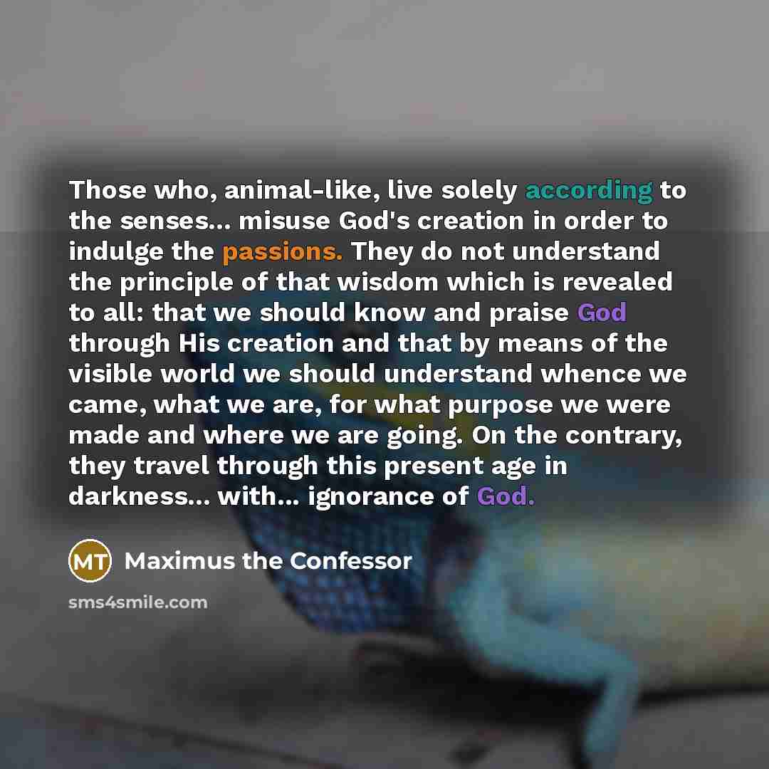 “Those who, animal-like, live solely according to the senses... misuse…” quote by Maximus the Confessor