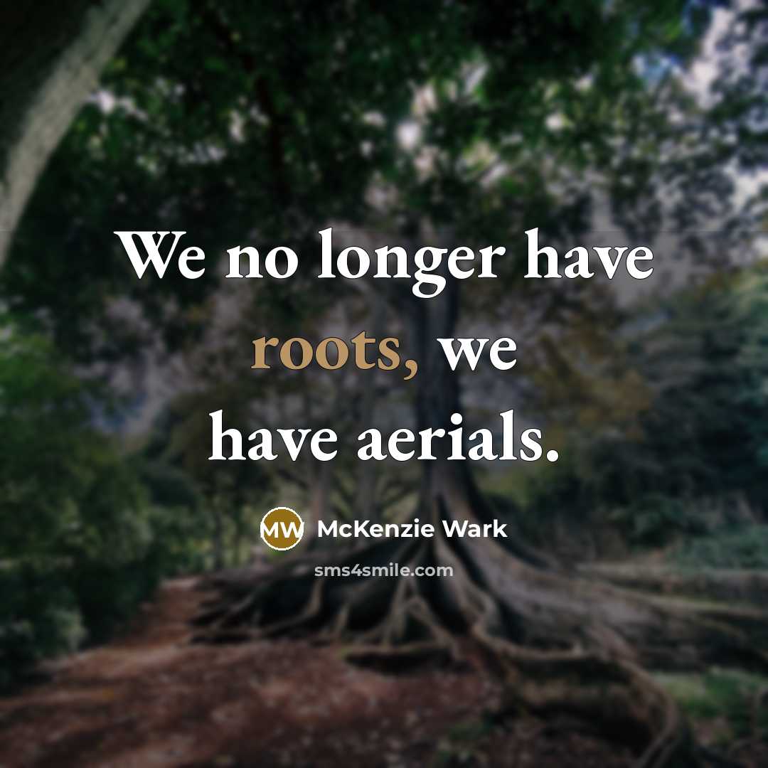 “We no longer have roots, we have aerials.…” quote by McKenzie Wark