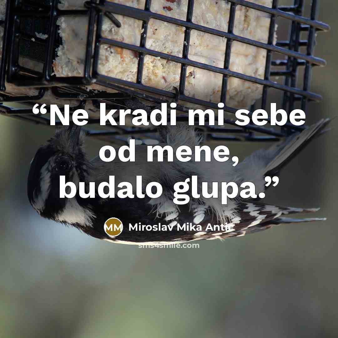 “Ne kradi mi sebe od mene, budalo glupa.” quote by Miroslav Mika Antić