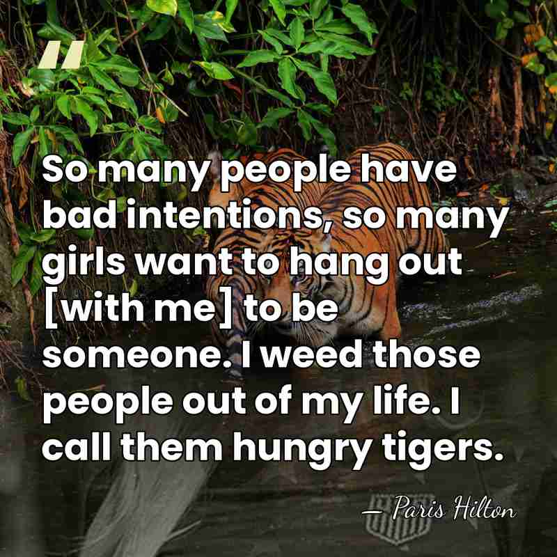 So many people have bad intentions, so many girls want to hang&hellip; - Paris Hilton