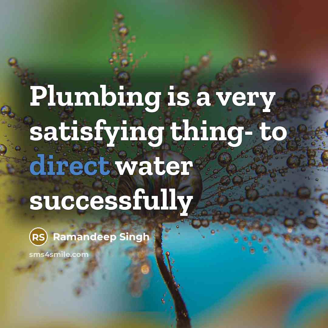 “Plumbing is a very satisfying thing- to direct water successfully…” quote by Ramandeep Singh
