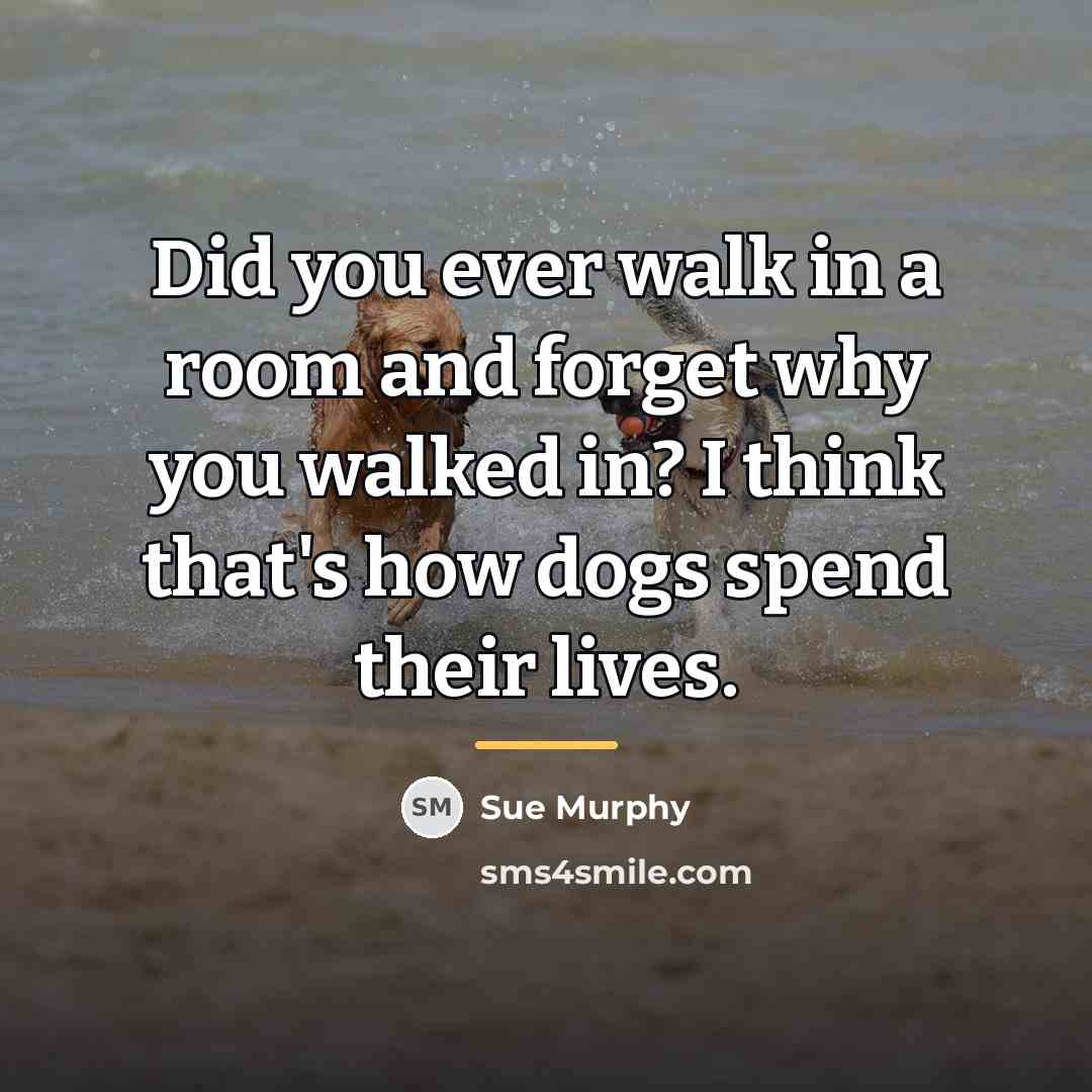 “Did you ever walk in a room and forget why…” quote by Sue Murphy