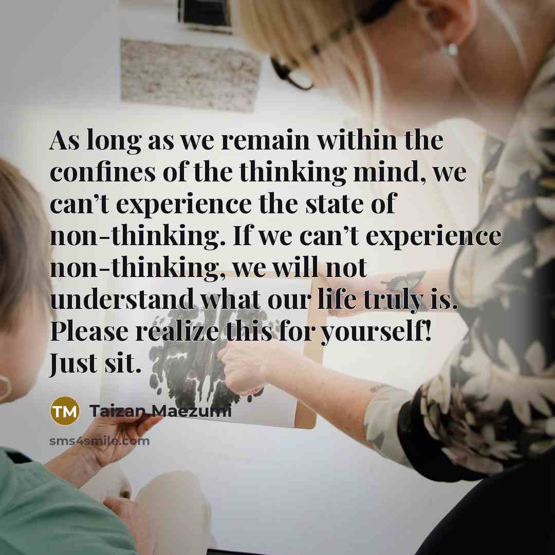 “As long as we remain within the confines of the…” quote by Taizan Maezumi