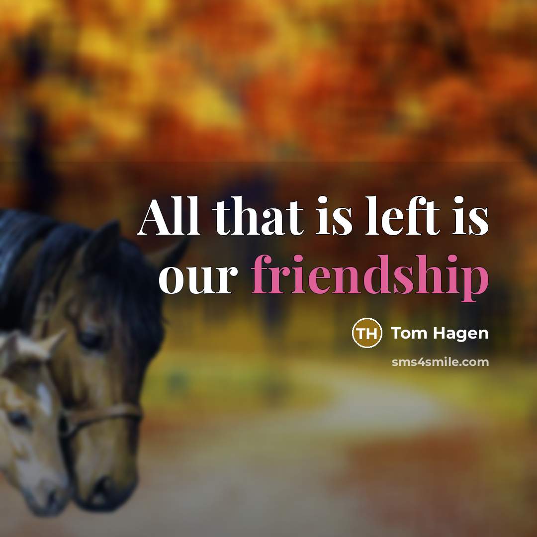 “All that is left is our friendship” quote by Tom Hagen